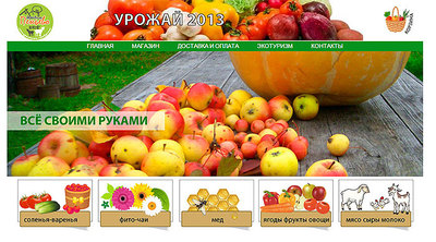 Дизайн сайта penevo.ru
